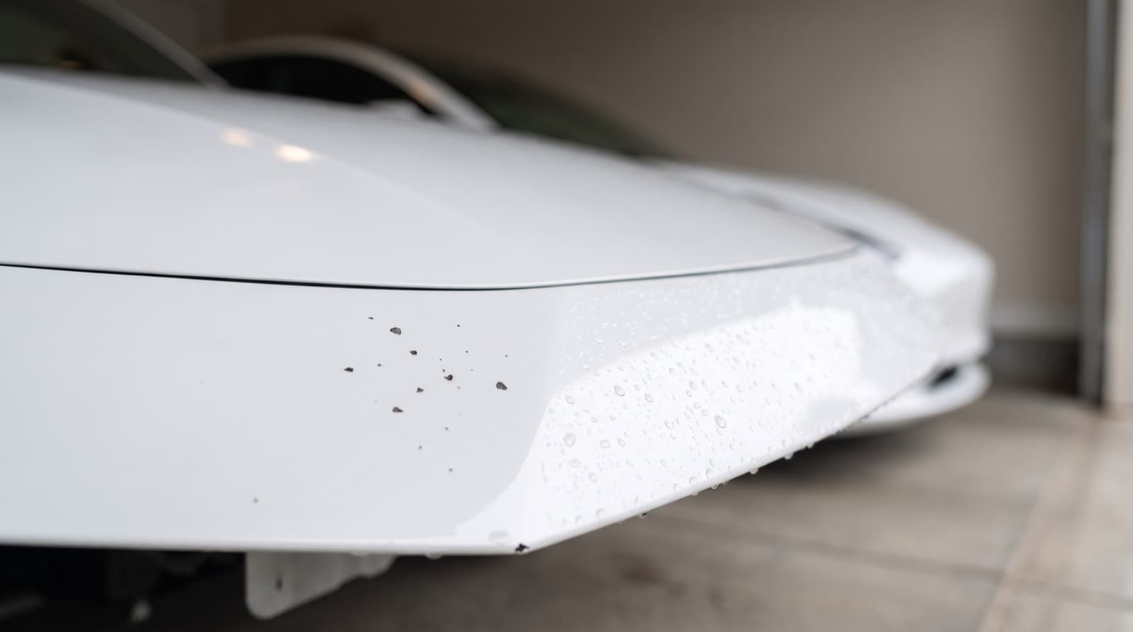 Water beading on the hood of a white Tesla Model Y parked on a foggy San Francisco street after a ceramic coating